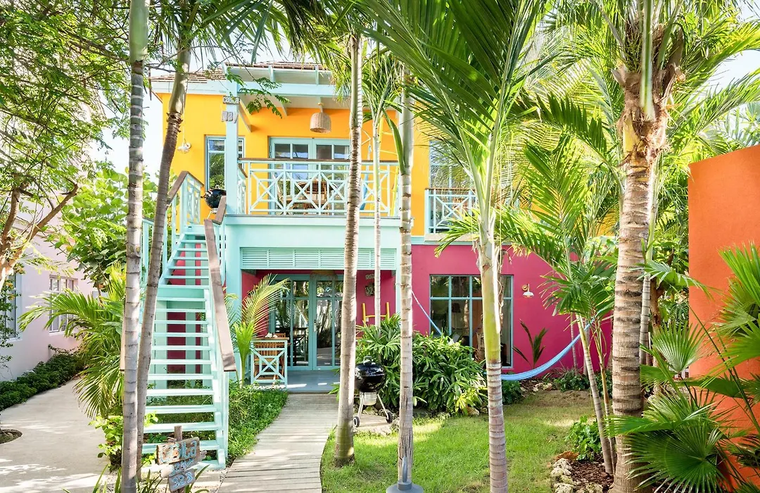 Boardwalk Boutique Hotel Aruba - Adults Only-1