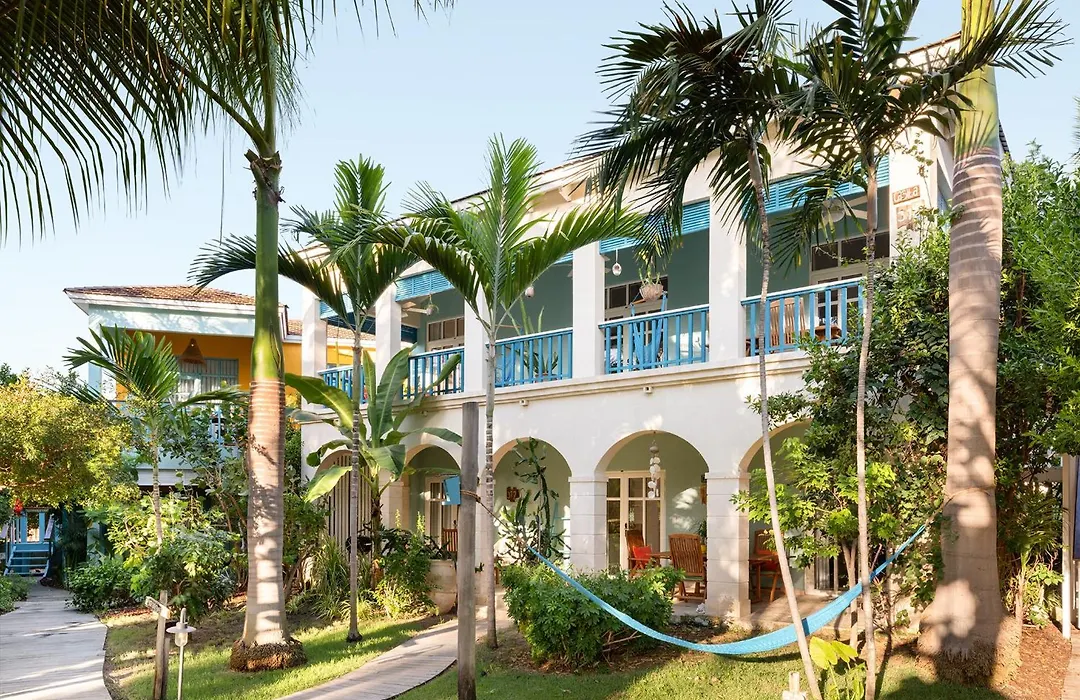 Boardwalk Boutique Hotel Aruba - Adults Only-1