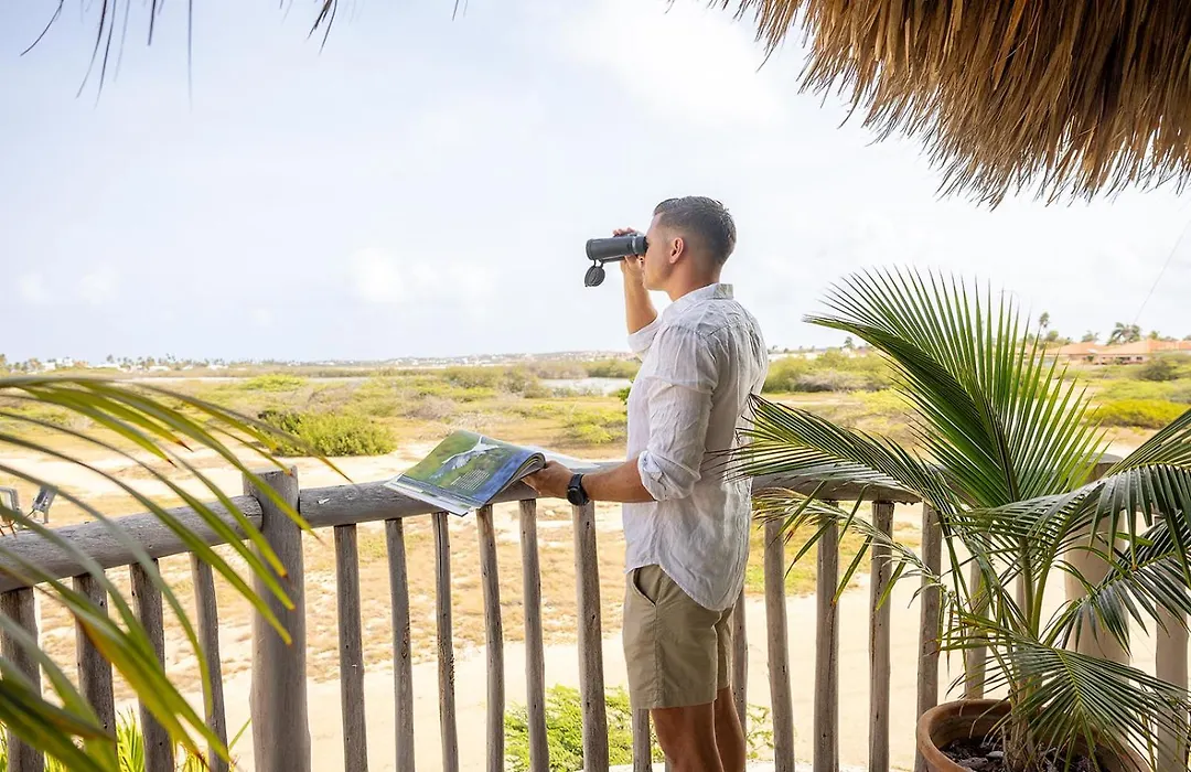 Boardwalk Boutique Hotel Aruba - Adults Only-1